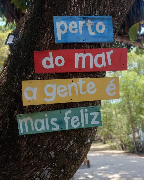 Placas coloridas presas numa árvore: "perto do mar a gente é mais feliz"